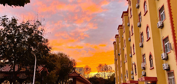 郑州电力职业技术学院 - 最美大学