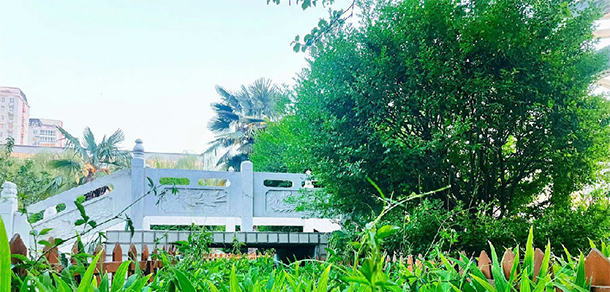 郑州电力职业技术学院 - 最美大学