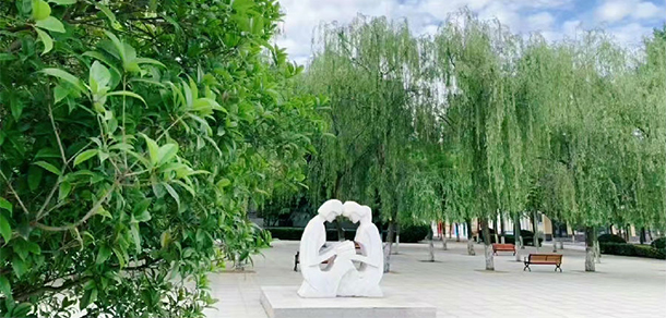 郑州电力职业技术学院 - 最美大学