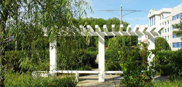 郑州电力职业技术学院 - 最美大学