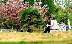 郑州电力职业技术学院 - 我的大学