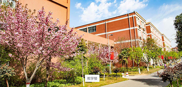 郑州城市职业学院 - 最美大学