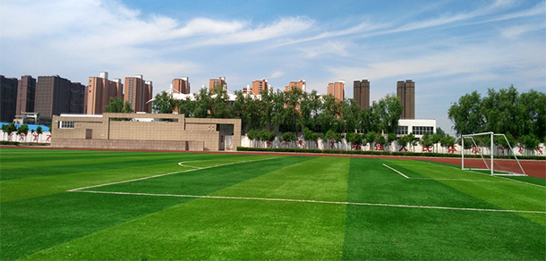 驻马店职业技术学院 - 最美大学