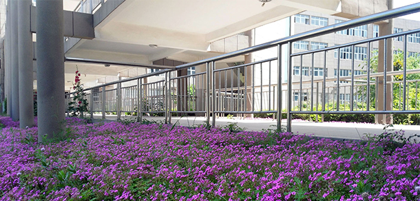 驻马店职业技术学院 - 最美大学