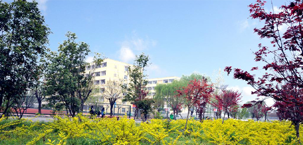 驻马店职业技术学院 - 最美大学