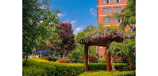开封文化艺术职业学院 - 最美大学