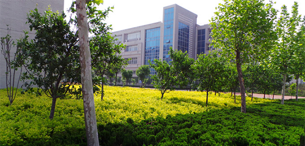 许昌电气职业学院-我的大學，我的流金歲月