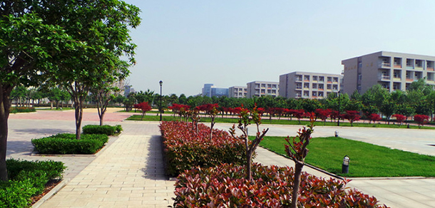 我的大學-大学志