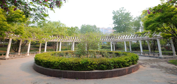 郑州财税金融职业学院 - 最美大学