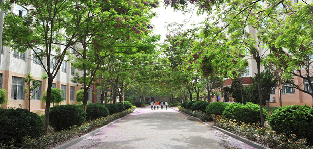 郑州财税金融职业学院 - 最美大学