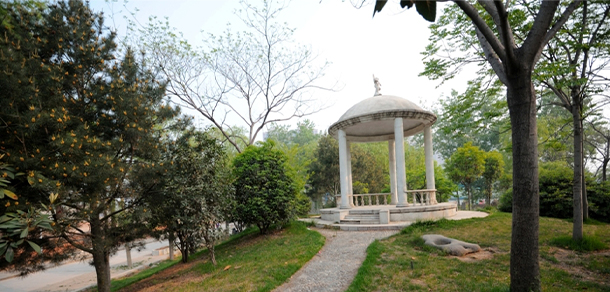 郑州财税金融职业学院 - 最美大学