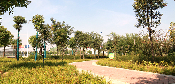 我的大學-大学志