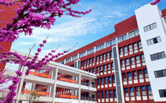 郑州电子商务职业学院 - 我的大学