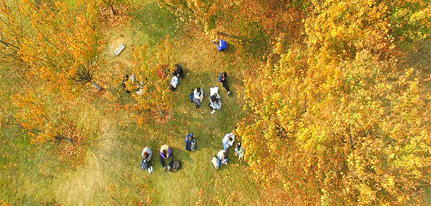南华大学 - 最美大学