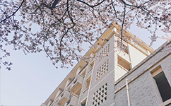 文化标识：校名题写 / 校徽设计