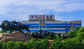湖南农业大学东方科技学院 - 最美印记