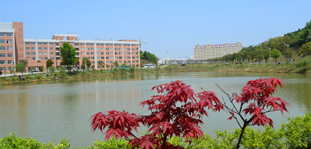 我的大學-大学志