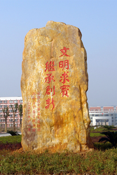 湖南中医药大学湘杏学院
