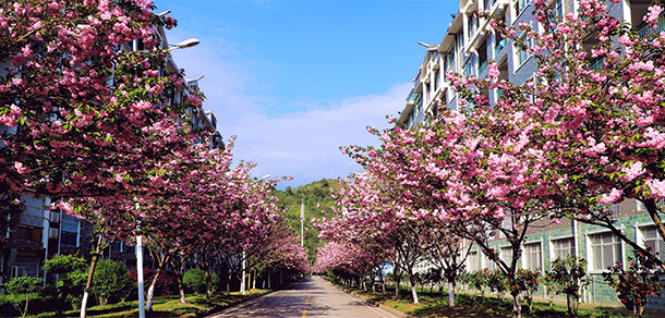 张家界学院 - 最美大学