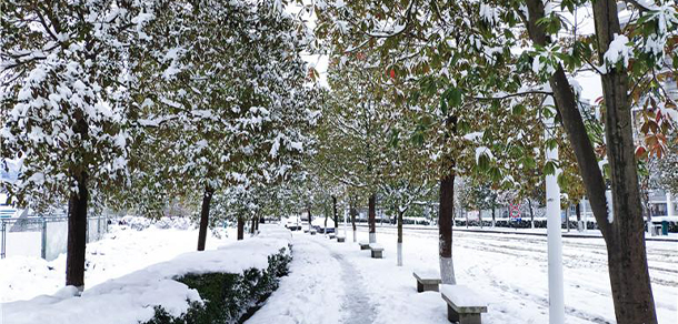 张家界学院 - 最美大学