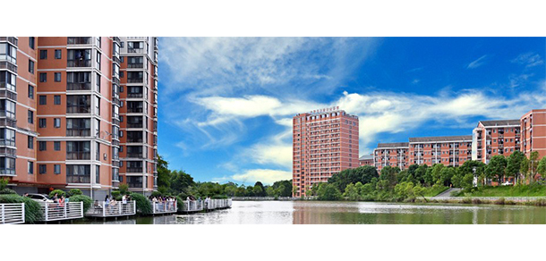 我的大學-大学志