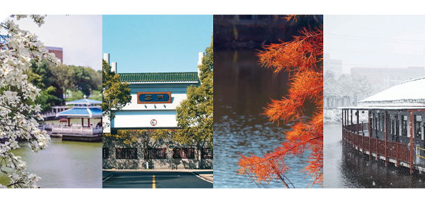 我的大學-大学志