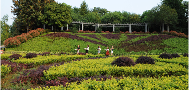 湘西民族职业技术学院 - 最美大学