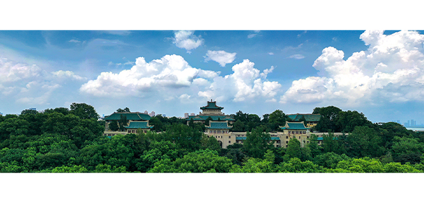 武汉大学 - 最美大学