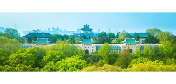 武汉大学 - 最美大学