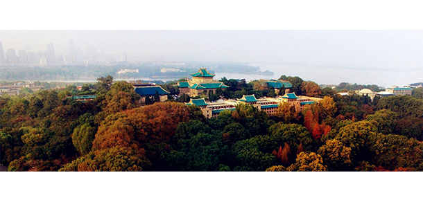 武汉大学 - 最美大学