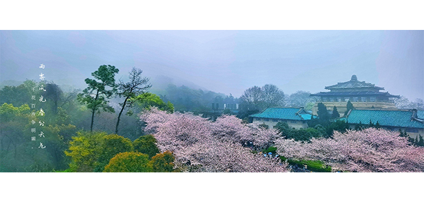武汉大学 - 最美大学