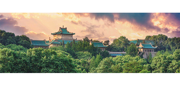 武汉大学 - 最美大学