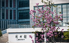 招生公告 · 招生简章 · 招生计划