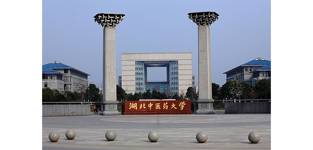 湖北中医药大学-我的大學，我的流金歲月