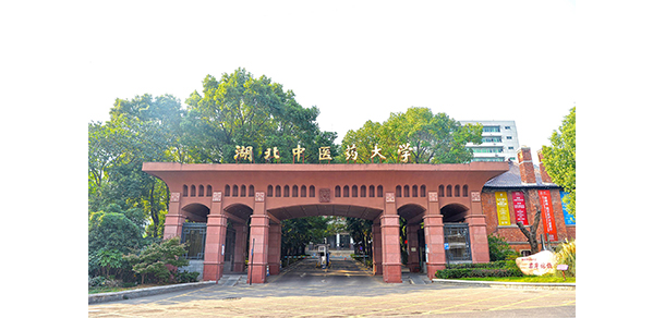 我的大學-大学志