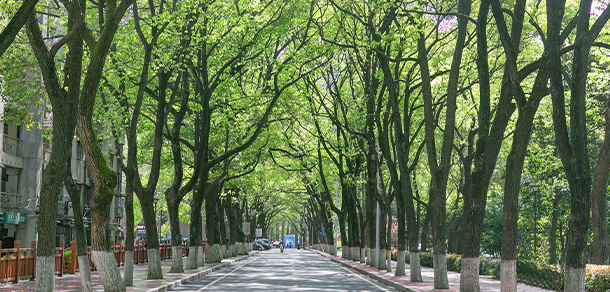 湖北大学 - 最美大学