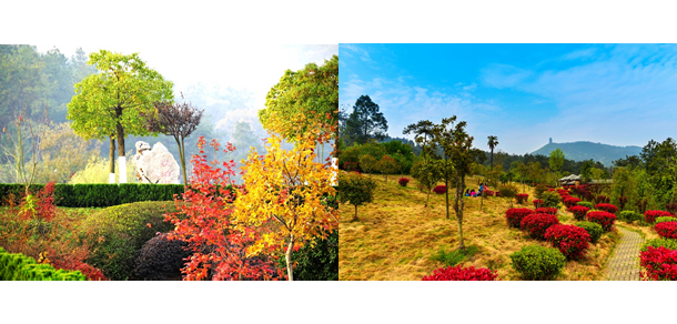 湖北文理学院 - 最美大学