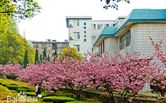 湖北文理学院 - 我的大学