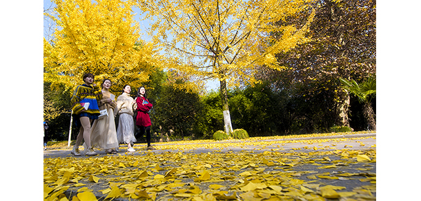 我的大學-大学志