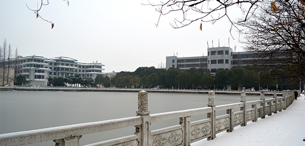长江大学文理学院