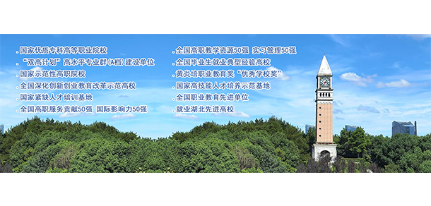 武汉职业技术大学