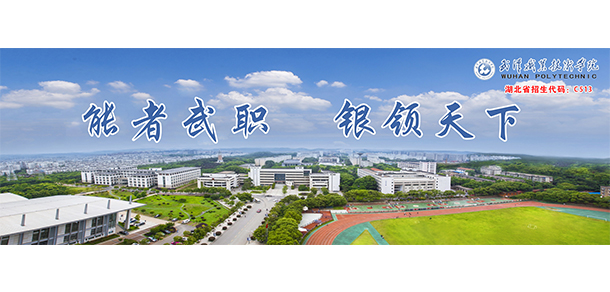 武汉职业技术大学