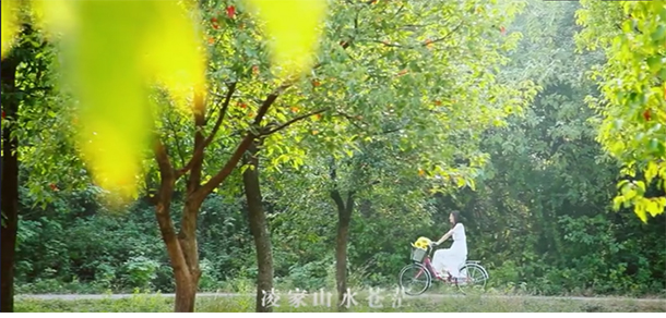 武汉职业技术大学 - 最美大学