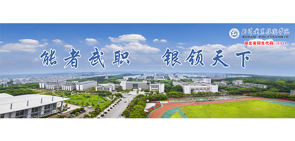 武汉职业技术学院 - 最美院校