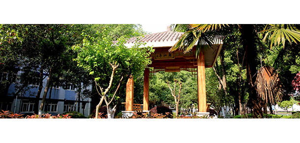 长江职业学院 - 最美大学