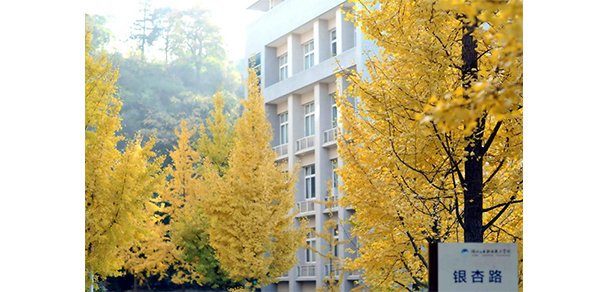湖北工业职业技术学院 - 银杏路