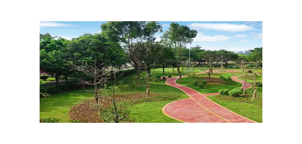 我的大學-大学志