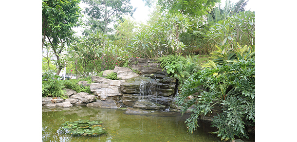 我的大學-大学志