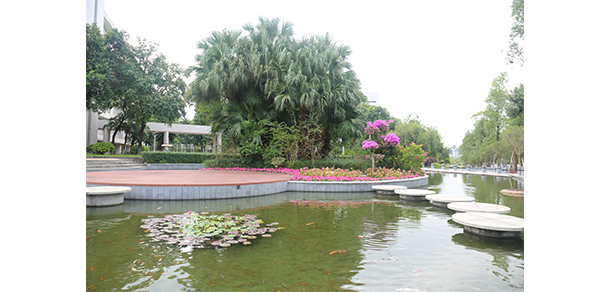 我的大學-大学志