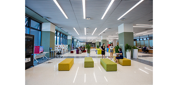 我的大學-大学志